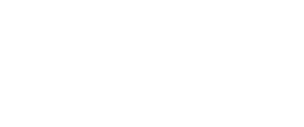 SEDLMAIR - Logo Hell Transparent